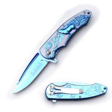 Dark Fantasy Blades Spring Assist Knife . DF-1110BL